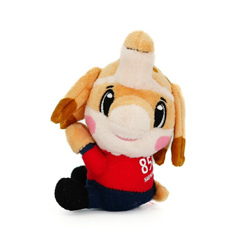 Jリーグミニフラッグ12チーム吸盤付日韓ワールドカップミニフラッグ10個レトロ Jリーグミニフラッグ12チーム吸盤付日韓ワールドカップミニ