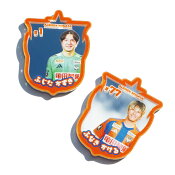 アルビレックス新潟