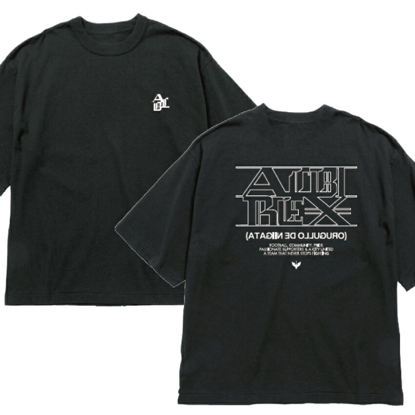 すぐ発送　アルビレックス新潟　パーカー3点　Tシャツ1点　セット　お買い得❣️ すぐ発送 アルビレックス新潟 パーカー3点 Tシャツ1点 セット