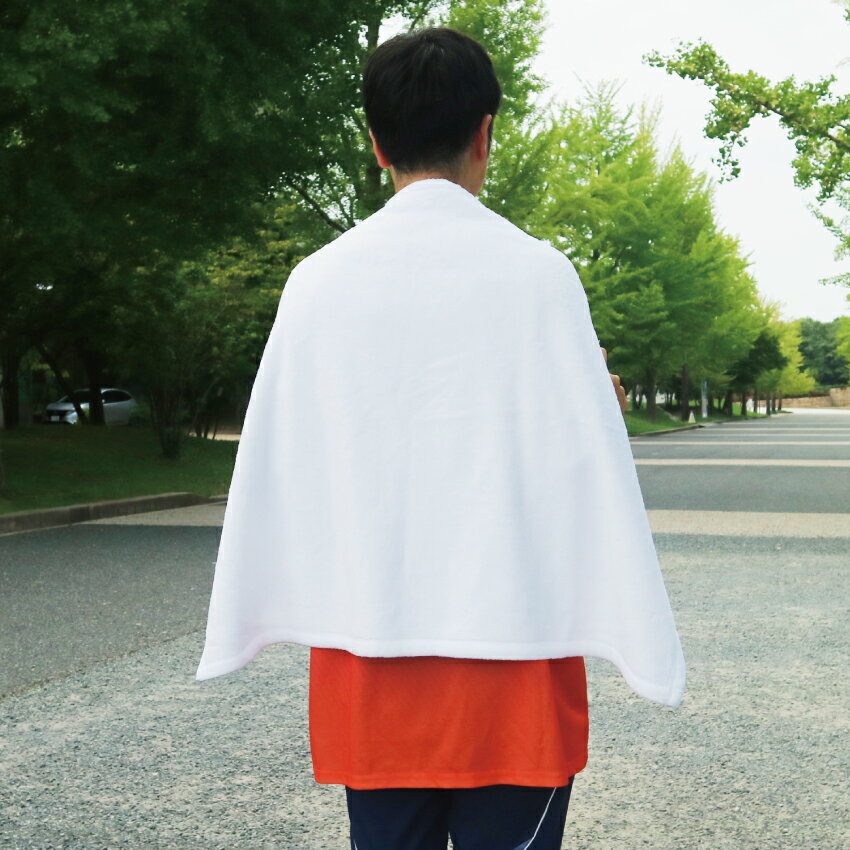 アルビレックス新潟 ベロアブランケット（W90×H65cm）｜【公式