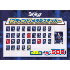 水戸ホーリーホック ミニフラッグ｜【公式】Jリーグオンラインストア