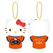 アルビレックス新潟