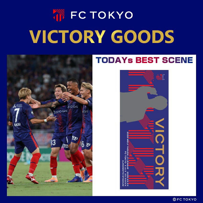【処分 値引不可】FC東京 フィールドプレイヤー 練習試合用 ゲームシャツ 半袖 FC東京 《練習試合用》'25ゲームシャツ半袖 ｜【公式】J