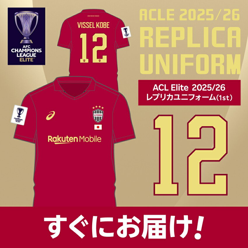 Vissel Kobe サッカーユニフォーム 12番 Lサイズ Vissel Kobe サッカーユニフォーム 12番 Lサイズ