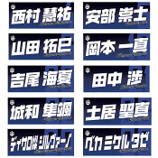 モンテディオ山形