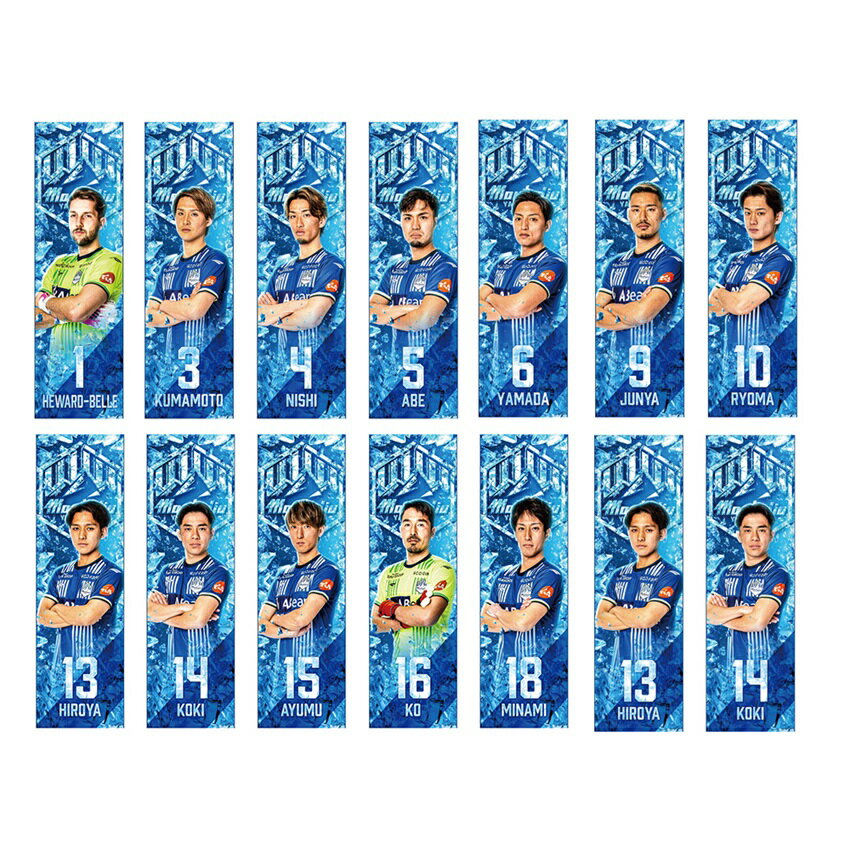 モンテディオ山形 MY25_プレーヤーズクールタオル｜【公式】J