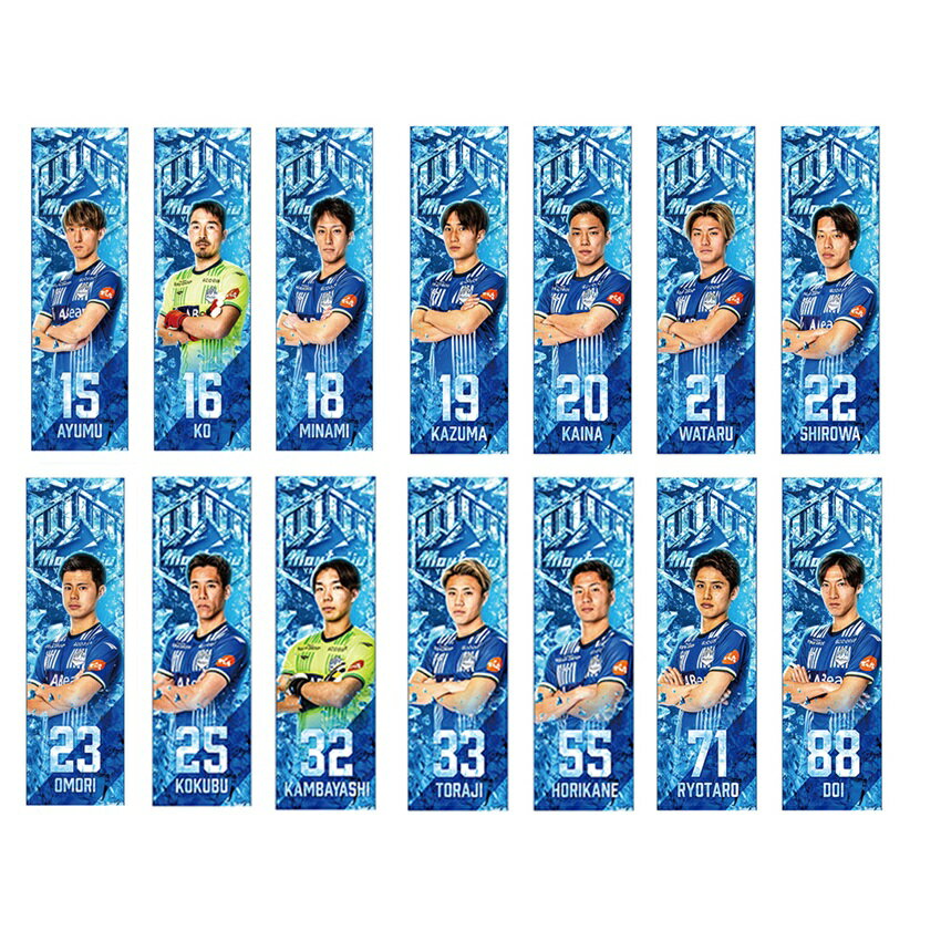 モンテディオ山形 MY25_プレーヤーズクールタオル｜【公式】Jリーグ