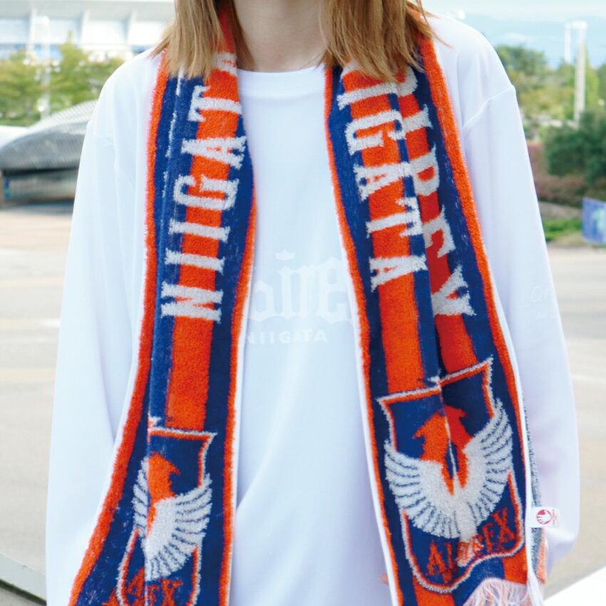 アルビレックス新潟 ドライリラックスロングスリーブTシャツ