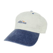 アルビレックス新潟