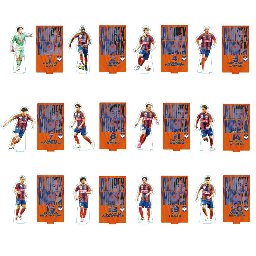 アルビレックス新潟J2リーグ優勝記念グッズ まもなく受付開始】『2022