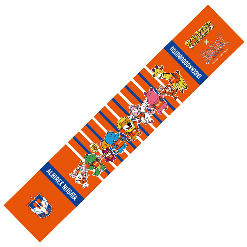 激レア☆ アルビレックス新潟　選手着用 kappa 90s 激レア☆ アルビレックス新潟 選手着用 kappa 90s