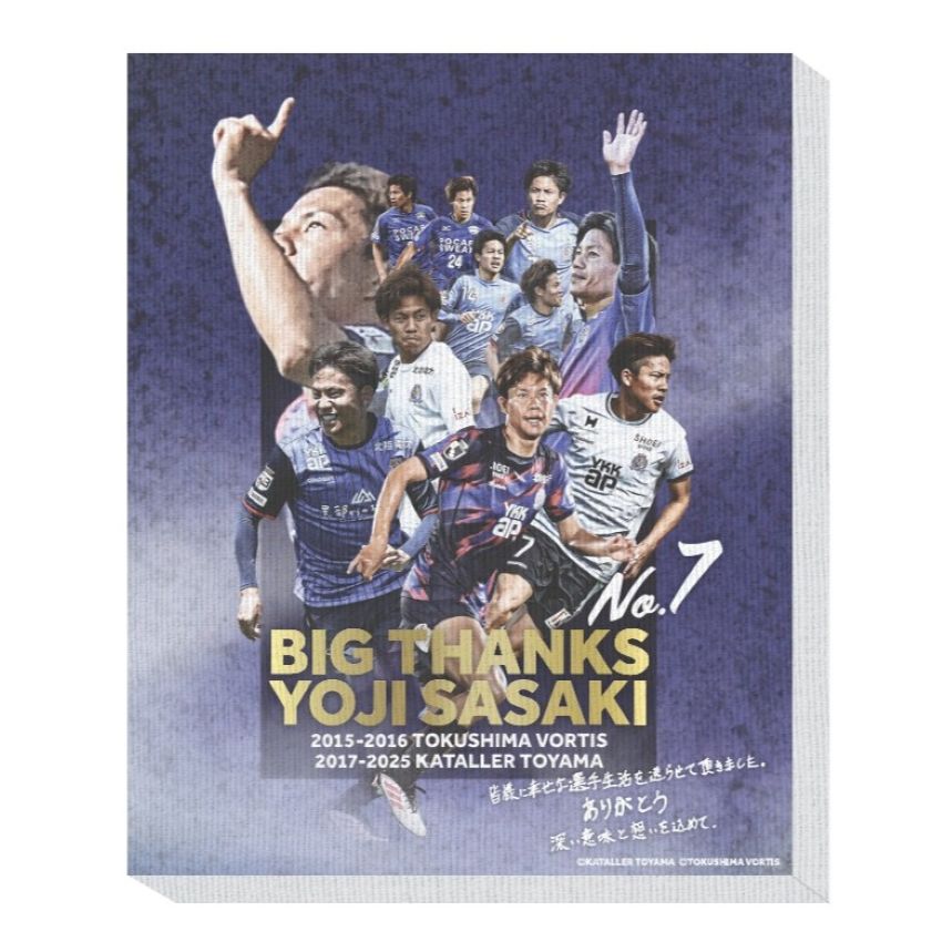 カターレ富山 フルジップジャケット 訳あり M サッカー フットサル