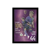 京都サンガＦ.Ｃ.