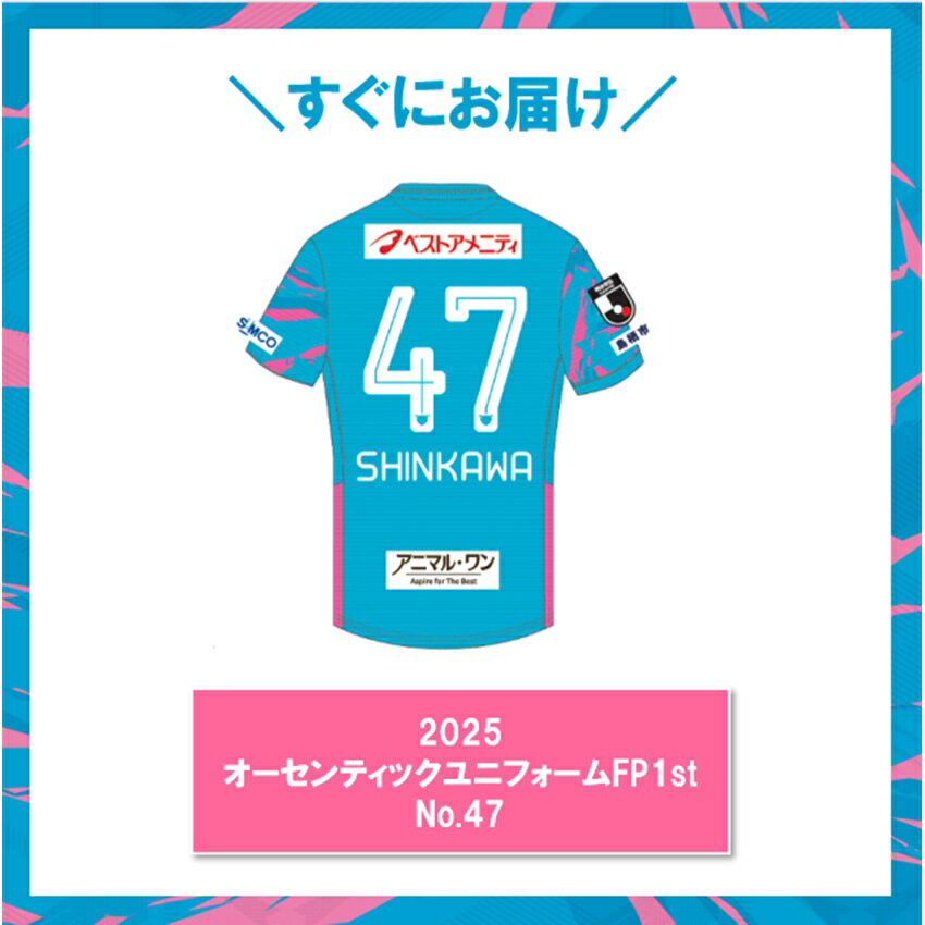 サガン鳥栖 フェルナンド・トーレス これまでの道・これからの夢