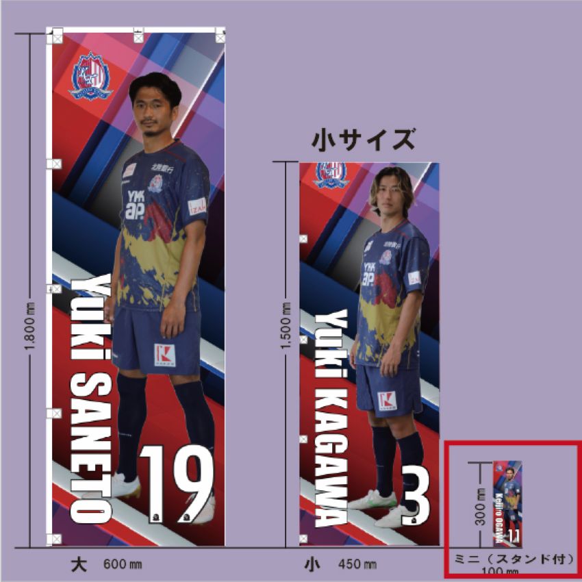 非売品　GOLDWIN カターレ富山　選手支給品　ジャージ上下　ソックス付き 非売品 GOLDWIN カターレ富山 選手支給品 ジャージ上下 ソックス付き