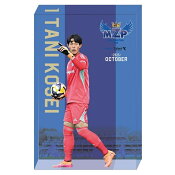 ＦＣ町田ゼルビア