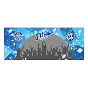 水戸ホーリーホック