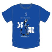 水戸ホーリーホック