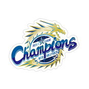 水戸ホーリーホック