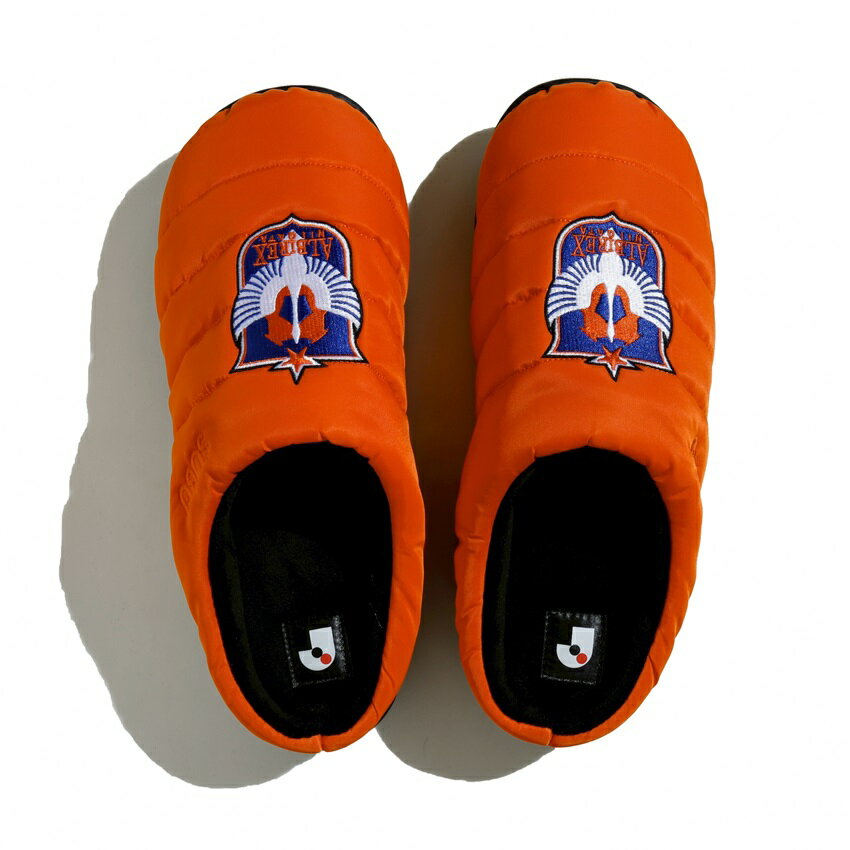 アルビレックス新潟 がんばれ！オイシックスJr.！！】 新潟県スポーツ公園の多目的運動広場