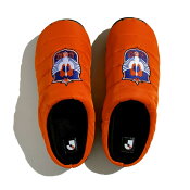 アルビレックス新潟