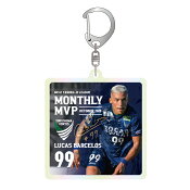 徳島ヴォルティス