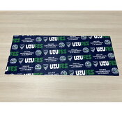 徳島ヴォルティス