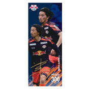 ＲＢ大宮アルディージャ