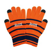 アルビレックス新潟