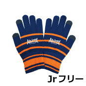 アルビレックス新潟