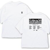 アルビレックス新潟