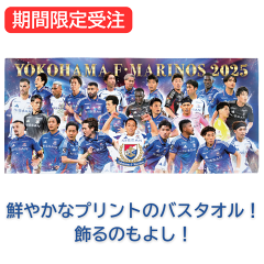 横浜F・マリノス TIRO 25 C トレーニングトップ＜FP＞｜【公式】J