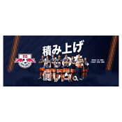 ＲＢ大宮アルディージャ