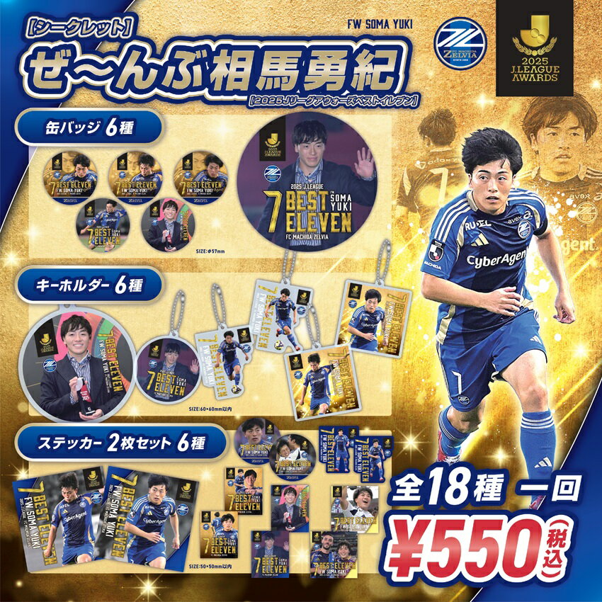 町田ゼルビア 選手支給品 支給品】【プレミア品】町田ゼルビア 選手支給品 練習着