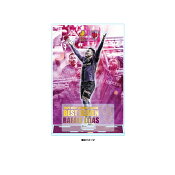 京都サンガＦ.Ｃ.