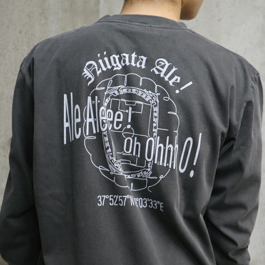 アルビレックス新潟 26アルビ新春福袋（青）｜【公式】Jリーグ