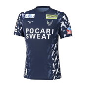 徳島ヴォルティス