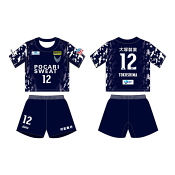 徳島ヴォルティス