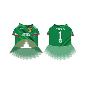 ギラヴァンツ北九州