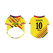 ギラヴァンツ北九州