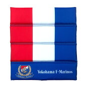 横浜Ｆ・マリノス