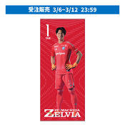 ＦＣ町田ゼルビア