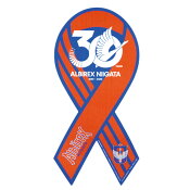 アルビレックス新潟