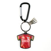 アルビレックス新潟