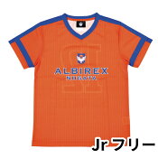 アルビレックス新潟