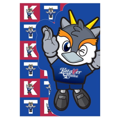 Jリーグ ミニフラッグ35本セット フラッグ｜【公式】Jリーグオンラインストア J.LEAGUE ONLINE STORE