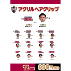 ヴィッセル神戸 【DANTON｜VISSEL KOBE】クルーネックダウンジャケット
