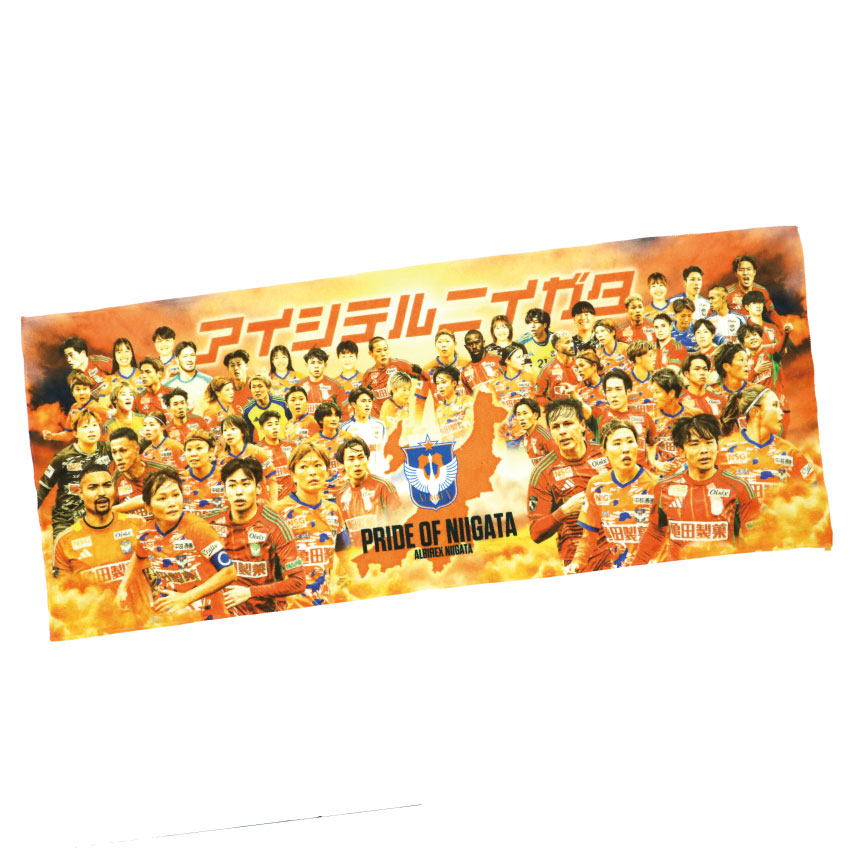 アルビレックス新潟 26アルビレックス新潟レディースコラボ フェイス