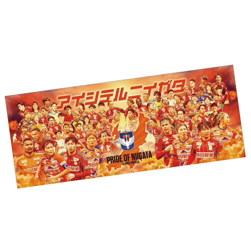 アルビレックス新潟 26アルビレックス新潟レディースコラボ フェイス