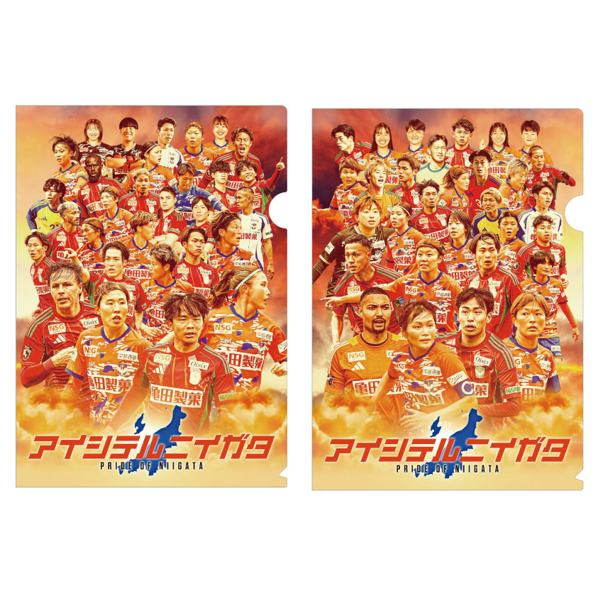 アルビレックス新潟 26アルビレックス新潟レディースコラボ クリア